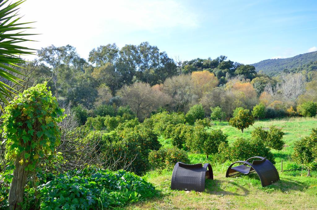 Casa Rural Ahoraya El Colmenar Luaran gambar