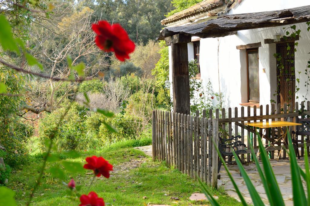 Casa Rural Ahoraya El Colmenar Luaran gambar