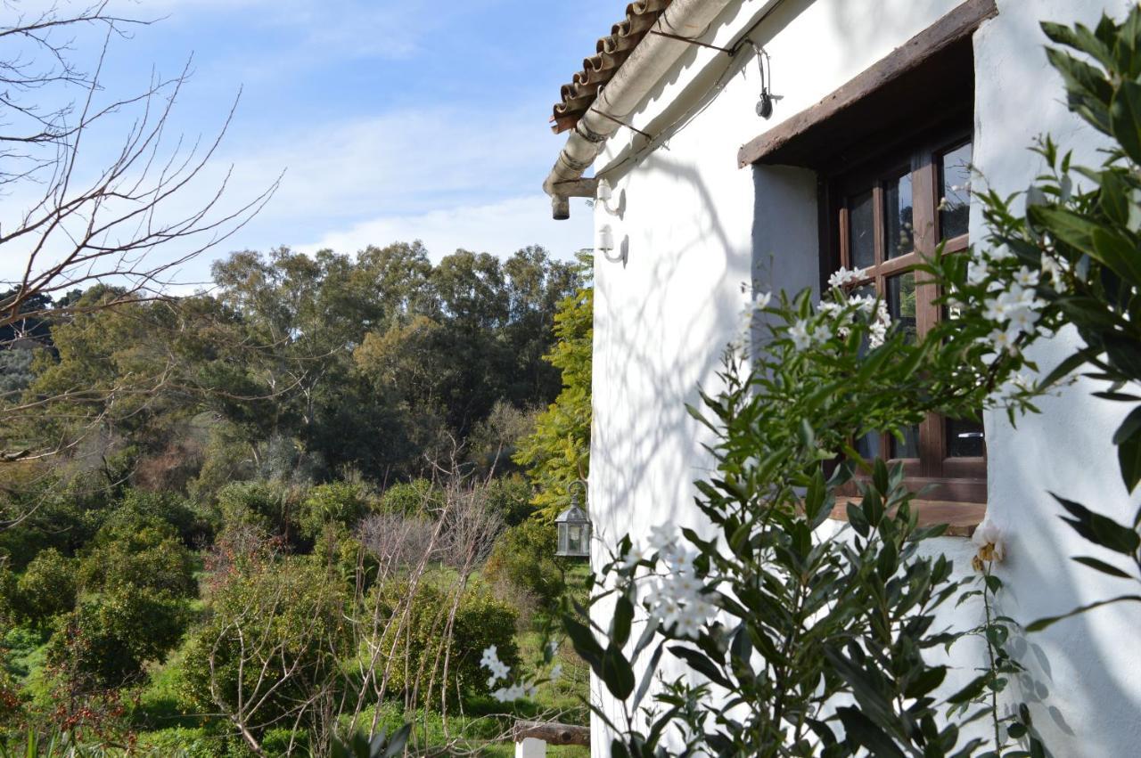 Casa Rural Ahoraya El Colmenar Luaran gambar